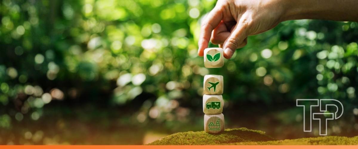 Why transition finance and adaptation finance are entering the conversation